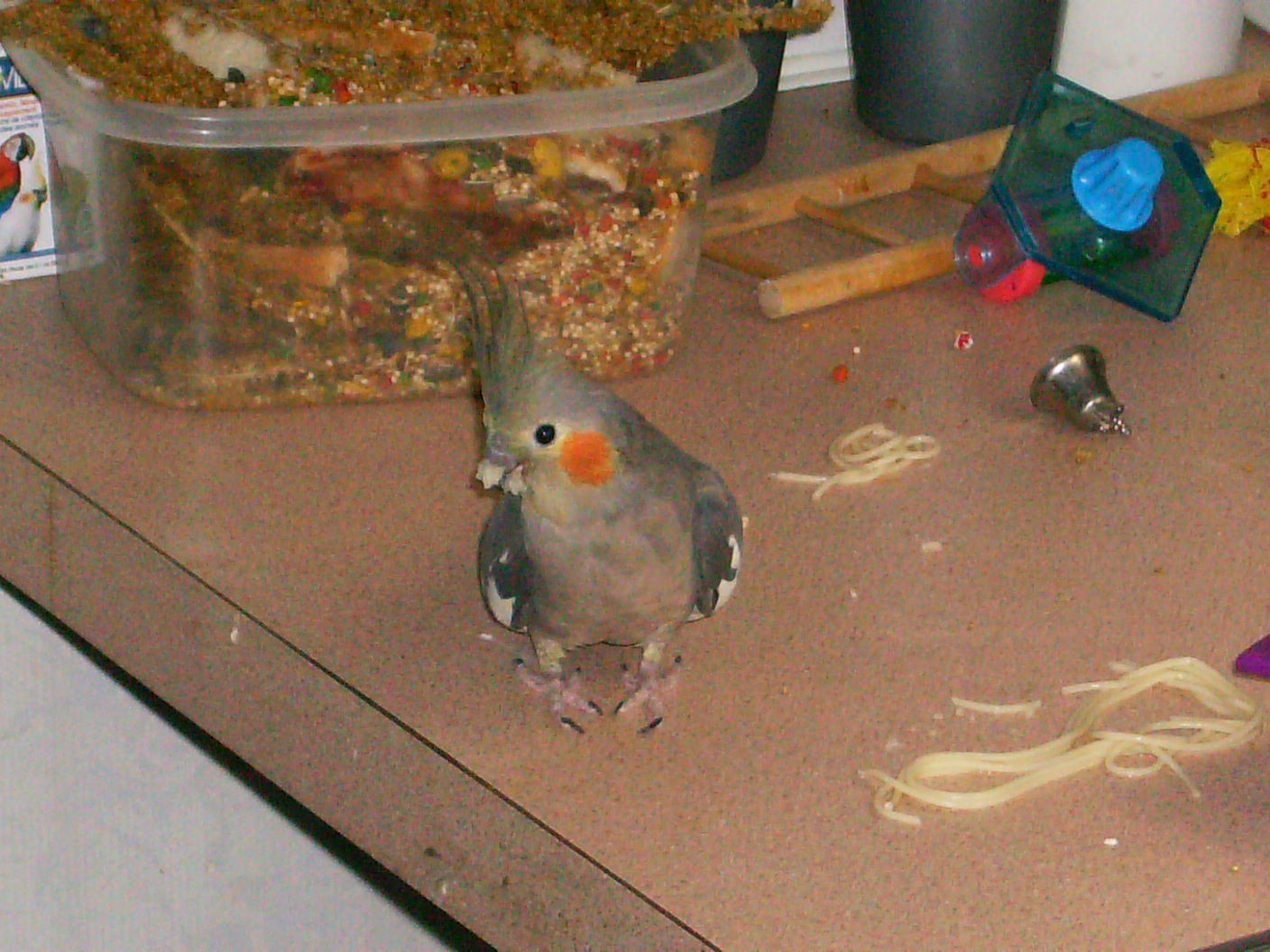 Spaghetti Face Sugar